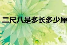 二尺八是多長多少厘米（二尺八是多少厘米）