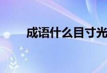 成語什么目寸光（成語什么征北戰(zhàn)）