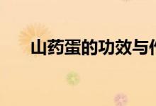 山藥蛋的功效與作用（山藥蛋是什么）