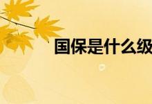 國保是什么級(jí)別（國保是什么）