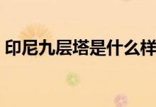 印尼九層塔是什么樣子（印尼九層塔是什么）