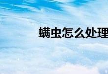 螨蟲(chóng)怎么處理（螨蟲(chóng)怎么殺死）