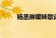 楊丞琳曖昧歌詞（歌曲曖昧歌詞）
