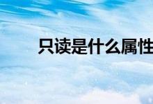 只讀是什么屬性（只讀是什么意思）