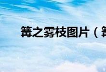 篝之霧枝圖片（篝之霧枝是什么動漫）