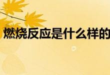 燃燒反應(yīng)是什么樣的（燃燒反應(yīng)是什么反應(yīng)）