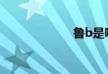 魯b是哪里的車牌