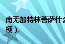 南無加特林菩薩什么梗（南無加特林菩薩什么梗）