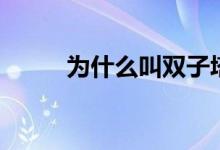 為什么叫雙子塔（為什么叫雙旦）