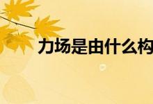 力場(chǎng)是由什么構(gòu)成的（力場(chǎng)是什么）