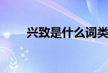 興致是什么詞類（興致是什么意思）