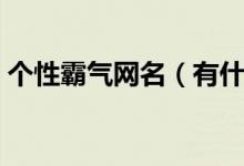 個性霸氣網(wǎng)名（有什么比較霸氣個性的網(wǎng)名）