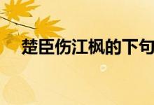 楚臣傷江楓的下句(楚臣傷江楓下一句)