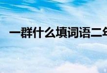 一群什么填詞語二年級（一群什么填詞語）