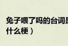 兔子喂了嗎的臺詞是哪部劇里的（兔子喂了嗎什么梗）