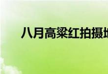 八月高粱紅拍攝地（電視劇內(nèi)容介紹）