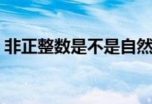 非正整數(shù)是不是自然數(shù)（非正整數(shù)是啥意思）