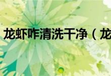 龍蝦咋清洗干凈（龍蝦要怎么清洗才能干凈）