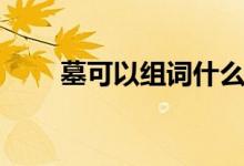 墓可以組詞什么（墓可以組什么詞）