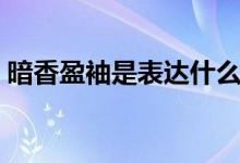 暗香盈袖是表達什么（暗香盈袖是指什么花）