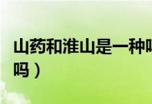 山藥和淮山是一種嗎（山藥和淮山是一種東西嗎）