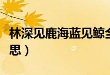 林深見鹿海藍(lán)見鯨全句（林深見鹿海藍(lán)見鯨意思）