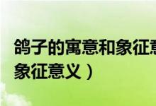 鴿子的寓意和象征意義是什么（鴿子的寓意和象征意義）