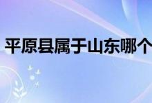 平原縣屬于山東哪個(gè)市（平原縣屬于哪個(gè)市）
