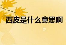 西皮是什么意思?。ㄎ髌な鞘裁匆馑季W(wǎng)絡(luò)）