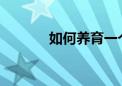 如何養(yǎng)育一個學習中等的孩子
