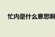 忙內(nèi)是什么意思?。?nèi)是什么意思呀）