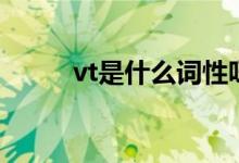 vt是什么詞性呀（vt是什么詞性）