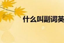 什么叫副詞英語（什么叫副詞）