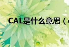 CAL是什么意思（cal是什么意思跑步機）