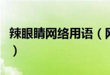 辣眼睛網(wǎng)絡(luò)用語(yǔ)（網(wǎng)絡(luò)詞語(yǔ)辣眼睛是什么意思）