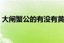 大閘蟹公的有沒(méi)有黃（大閘蟹公的有蟹黃嗎）