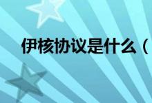 伊核協(xié)議是什么（伊核協(xié)議是什么意思）