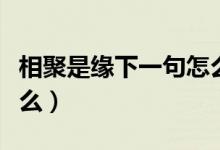 相聚是緣下一句怎么對(duì)（相聚是緣下一句是什么）