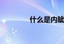 什么是內(nèi)眥（什么是內(nèi)眥）