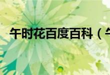 午時(shí)花百度百科（午時(shí)花為什么叫午時(shí)花）