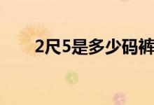 2尺5是多少碼褲（2尺5是多大腰圍）