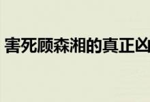 害死顧森湘的真正兇手（顧森湘為什么自殺）