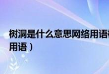樹洞是什么意思網(wǎng)絡用語樹洞的意義（樹洞是什么意思網(wǎng)絡用語）