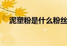 泥塑粉是什么粉絲（泥塑粉是什么意思）