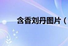 含香劉丹圖片（含香劉丹怎么死的）