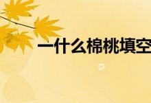 一什么棉桃填空詞語（一什么棉桃）