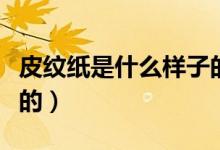 皮紋紙是什么樣子的圖片（皮紋紙是什么樣子的）