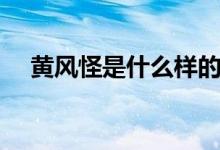 黃風(fēng)怪是什么樣的（黃風(fēng)怪是什么動物）