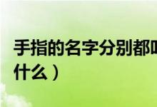 手指的名字分別都叫什么（手指的名字分別是什么）