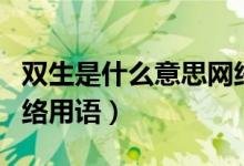 雙生是什么意思網(wǎng)絡(luò)用語（雙生是什么意思網(wǎng)絡(luò)用語）